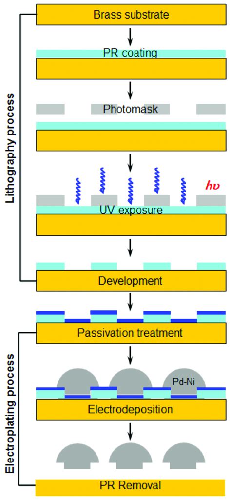 Schematic Diagrams Of Micro Porous Membrane Filter Fabrication Process