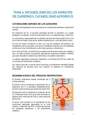 TEMA 4 METABOLISMO DE LOS HIDRATOS DE CARBONO II 1 Pdf