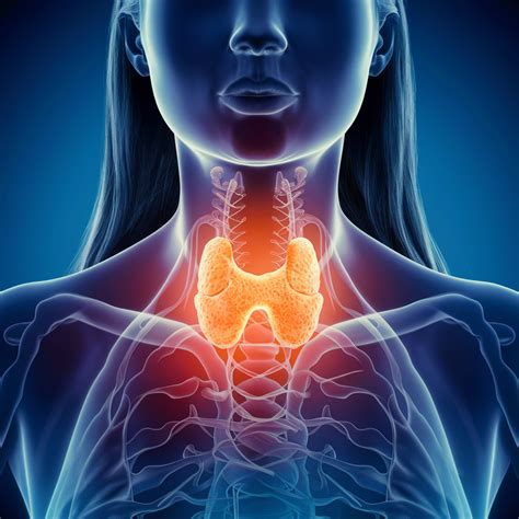 Understanding Graves Disease Symptoms Causes Treatment And More