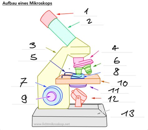 Mikroskop Flashcards Quizlet