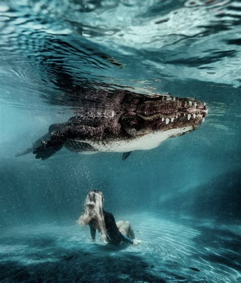 12 Of The Best Underwater Photographers In The World FilterGrade