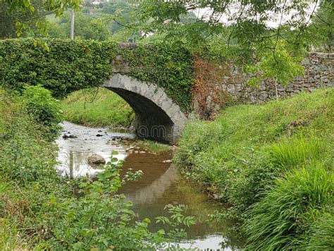 Vintage Arch Bridge Over A Stream Small Stream Stock Photo Image Of