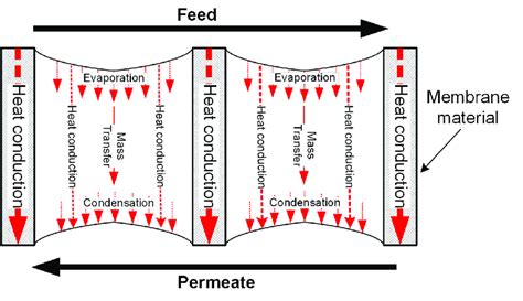 Schematic Of Heat And Mass Transfers In Direct Contact Membrane