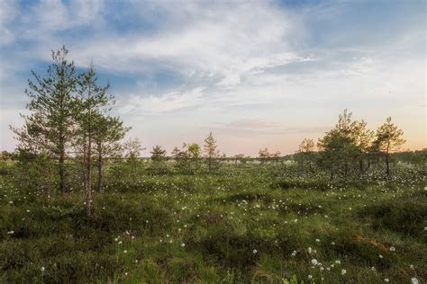 Estonia Landscape Scenic · Free photo on Pixabay