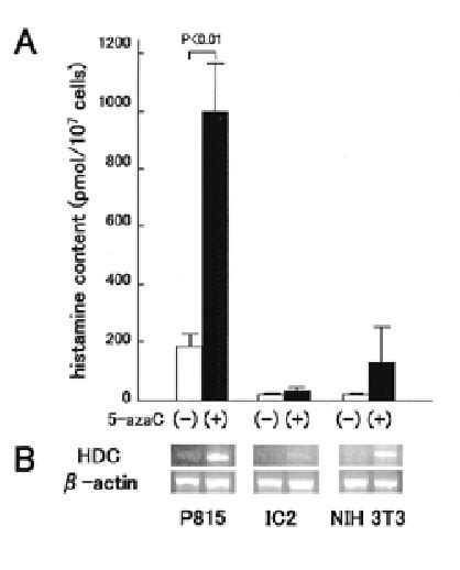 Figure From The Mouse L Histidine Decarboxylase Gene Structure And