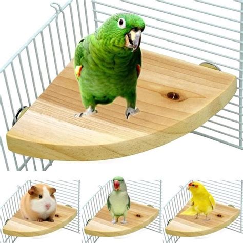 VINGVO Plateforme En Bois Pour Oiseaux Support Perroquet Cage Pour