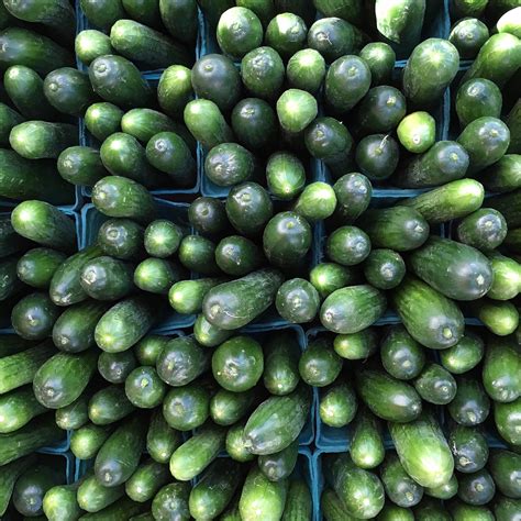 cukes | woodleywonderworks | Flickr