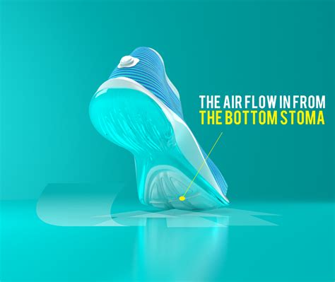 WATERFLY on Behance