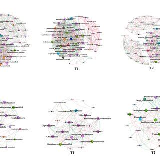 Co Occurrence Network Of A Bacterial And B Fungal Communities Under