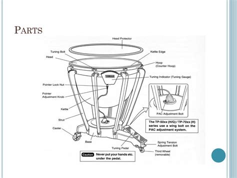 Ppt Timpani Powerpoint Presentation Free Download Id1860831