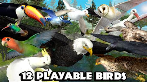 Ultimate Bird Simulator - Apps on Google Play