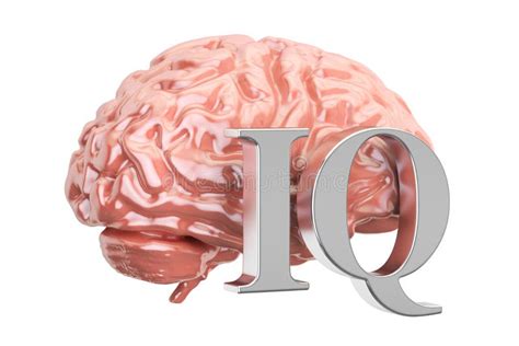 Human Brain And Iq Text Stock Illustration Illustration Of Genius