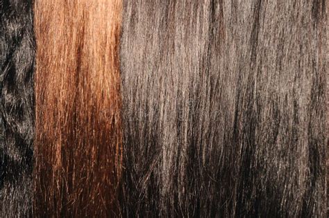 Cabello Femenino De Diferente Color En Todo El Fondo De La Vista