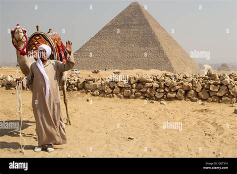 Turismo Y Propietario De Camellos Delante De La Gran Pir Mide De Giza