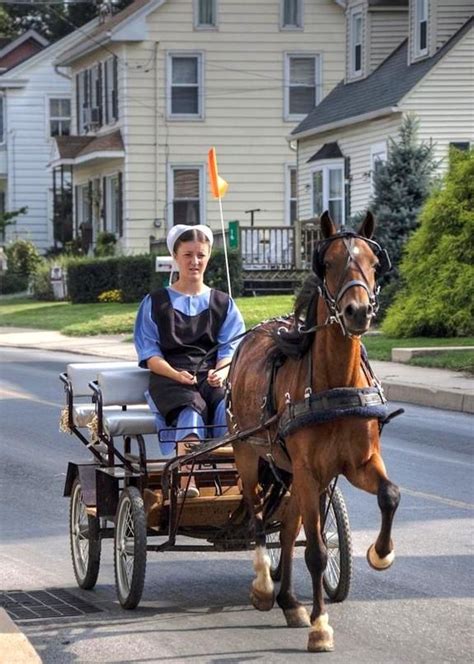 Two People Are Riding In A Horse Drawn Carriage Down The Street With