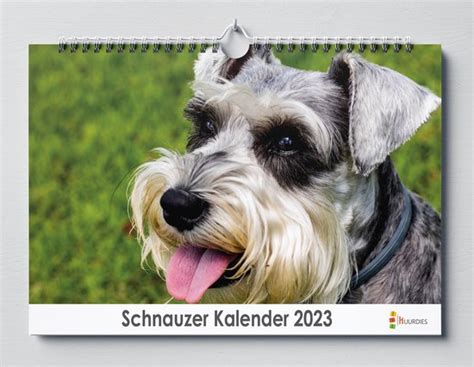 Schnauzer Kalender 2023 35x24 Cm Jaarkalender 2023 Wandkalender