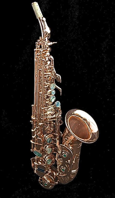 Saxgourmet Curved Soprano Saxophone - Steve Goodson's Nation of ...