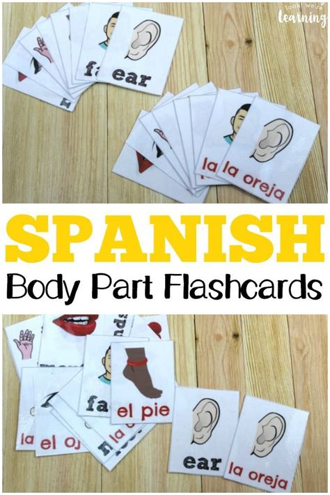 Spanish Parts of the Body Flashcards | Spanish flashcards, Spanish ...