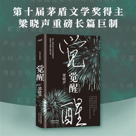 当当网觉醒（第十届茅盾文学奖、热映电视剧《人世间》原著作者梁晓声作品）精装版虎窝淘