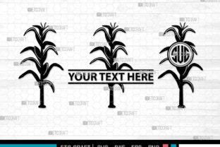 Corn Stalk Svg Monogram Corn Stalk Svg Graphic By Pixel Elites