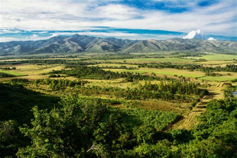 540 Trinidad Aerial Stock Photos Pictures And Royalty Free Images Istock