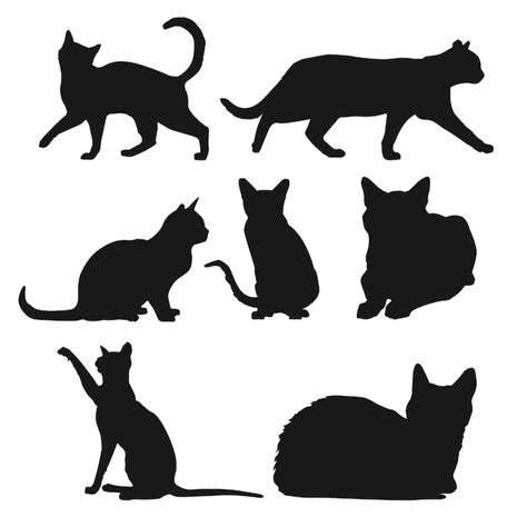 Siluetas De Gatos En Diferentes Posiciones Vector Gratis