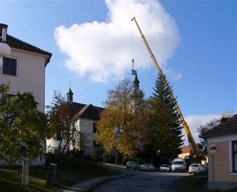 Střelice - Živéobce.cz