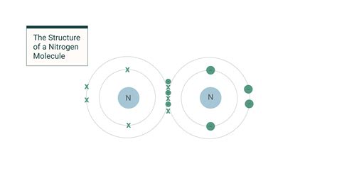 Nitrogen And Hydrogen Covalent Bond