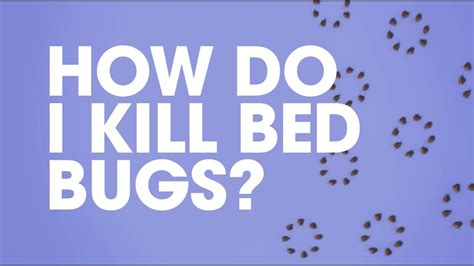 Raid® How Do I Kill Bed Bugs Youtube