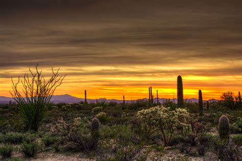 The 10 Richest Cities In Arizona