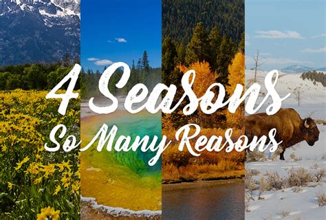 Guide To The Seasons In Yellowstone