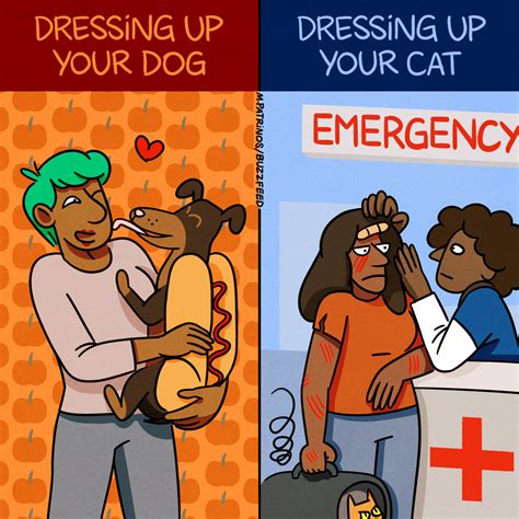 122 Funny Dog Memes That'll Make You Bark With Laughter