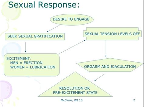 3690 Understanding Sexual Function Flashcards Quizlet