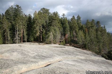 Sunset Rock Trail Sequoia