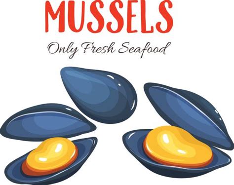 Royalty Free Mussel Clip Art Vector Images And Illustrations Istock