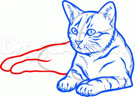 How To Draw A Cat Laying Down Easy ~ Cat Line Drawing Images, Stock
