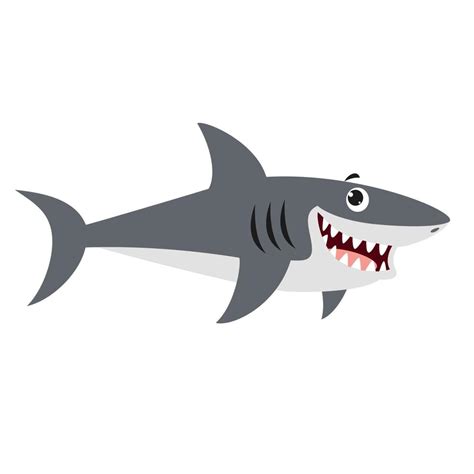 Cartoon Drawing Of A Shark 13536671 Vector Art At Vecteezy