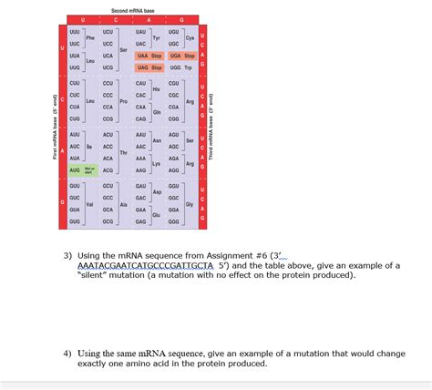 Solved Second Mrna Base C А G Uuu Ucu Uau Ugu Phe Tyr U Cys