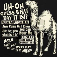 Hump day jokes on Pinterest