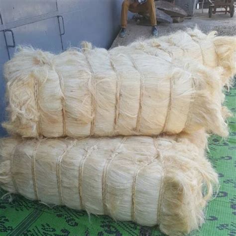 Sisal Fiber Grade 3 Short – Global Sisal Trading Limited