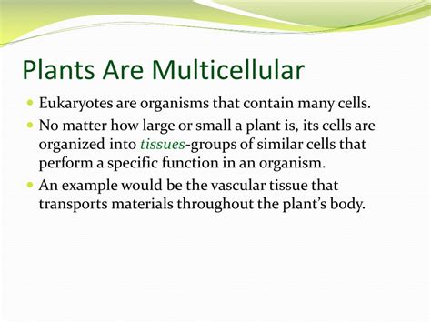 PPT - Introduction to Plants PowerPoint Presentation, free download - ID:2767528