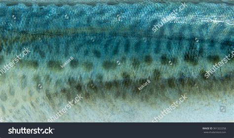11932 Salmon Scales Images Stock Photos And Vectors Shutterstock
