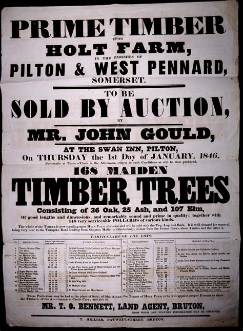 Holt Farm, Sticklinch - sale of timber 1846 - Pilton History
