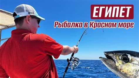 РЫБАЛКА В ЕГИПТЕ. Первый блин комом и реабилитация! Fishing in Egypt ...