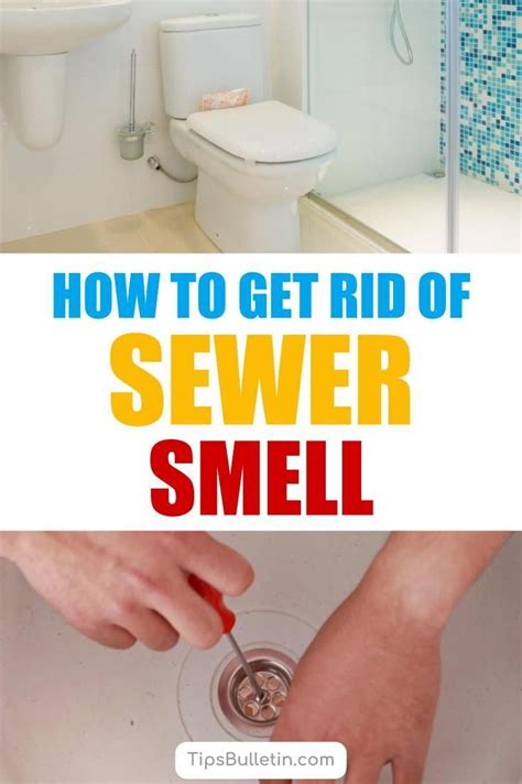 Why Does My Bathroom Always Smell Like Sewer At Herman Stephenson Blog