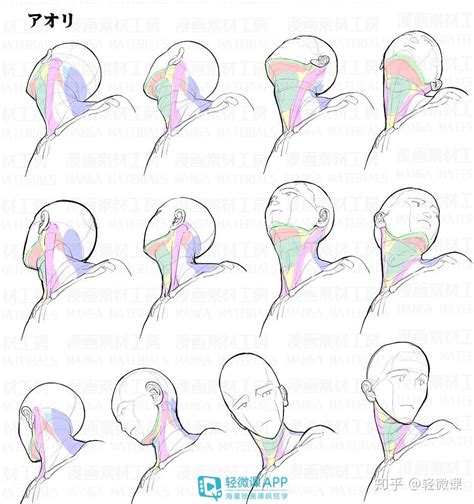 【绘画素材】不会画人体？这100张高清素材赶紧收藏！ 知乎