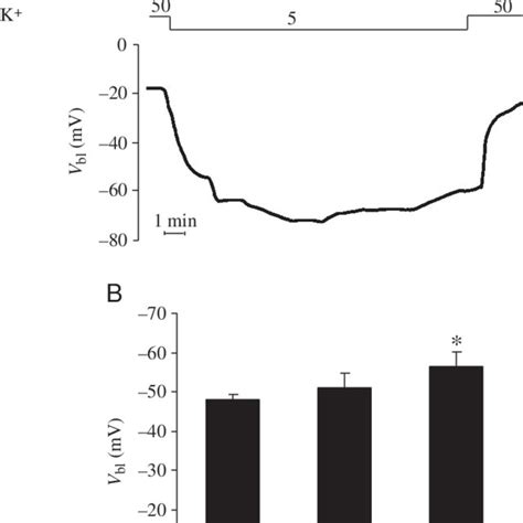 A Effect Of Ouabain On Basolateral Membrane Potential Vbl In Low