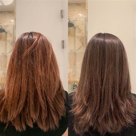 Brassy Brown Hair To Ash Brown Deluxe Web Log Navigateur