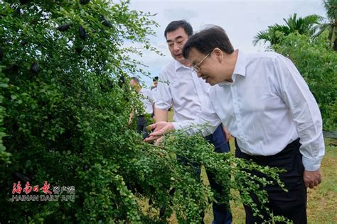 冯飞：突出特点 发挥优势 久久为功推动琼海高质量发展海南新闻中心海南在线海南一家