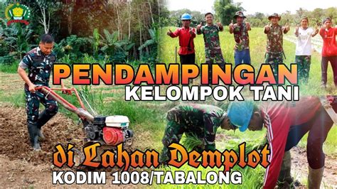 Kodam Vi Mulawarman Pendampingan Kelompok Tani Di Lahan Demplot Kodim